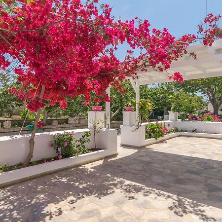 Lina And Babis' Home Adamantas Exterior photo