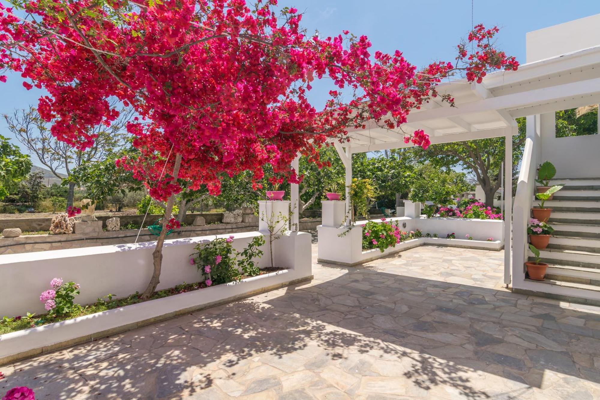 Lina And Babis' Home Adamantas Exterior photo